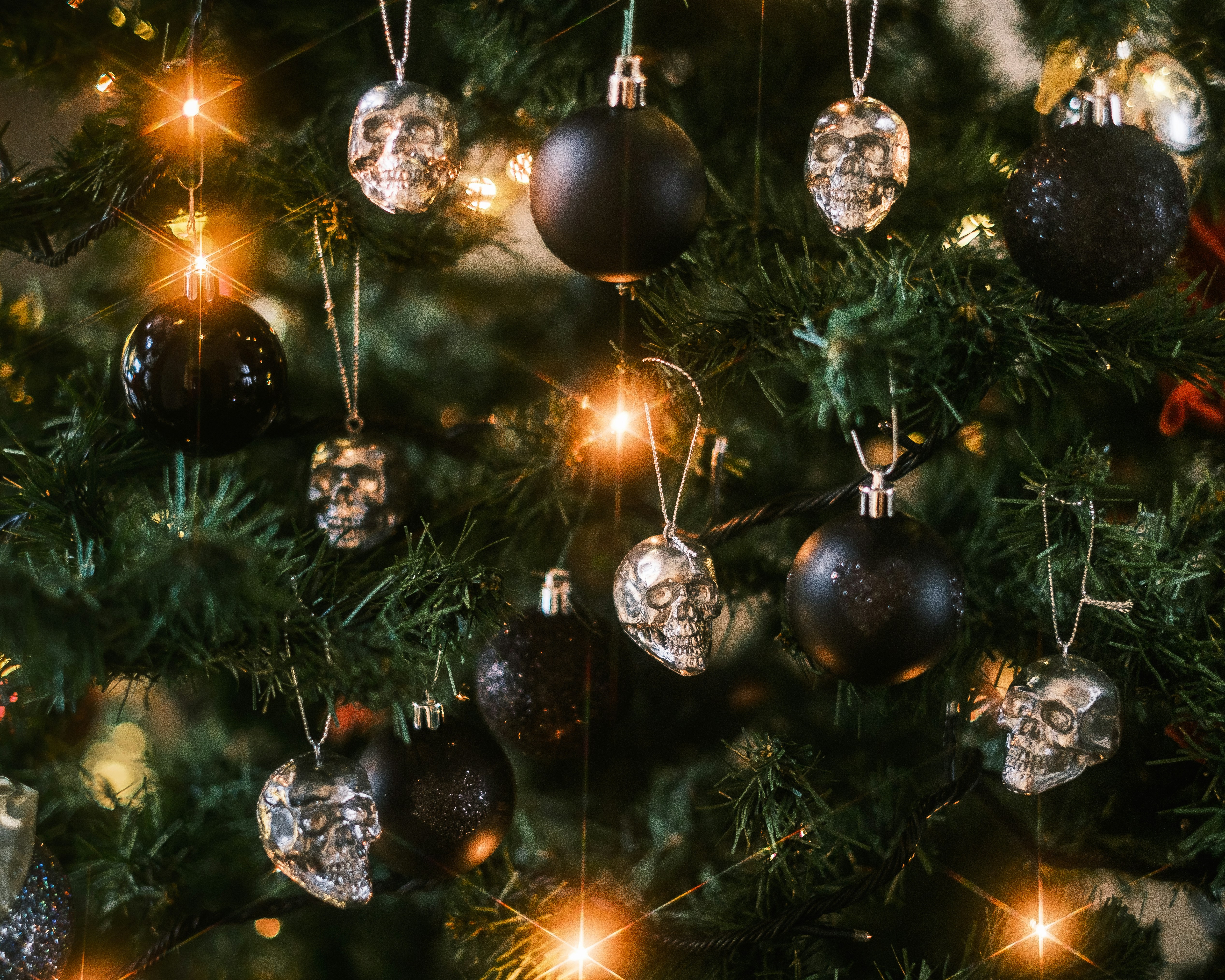 Choose from a curated selection of Christmas tree photos. Always free on Unsplash.